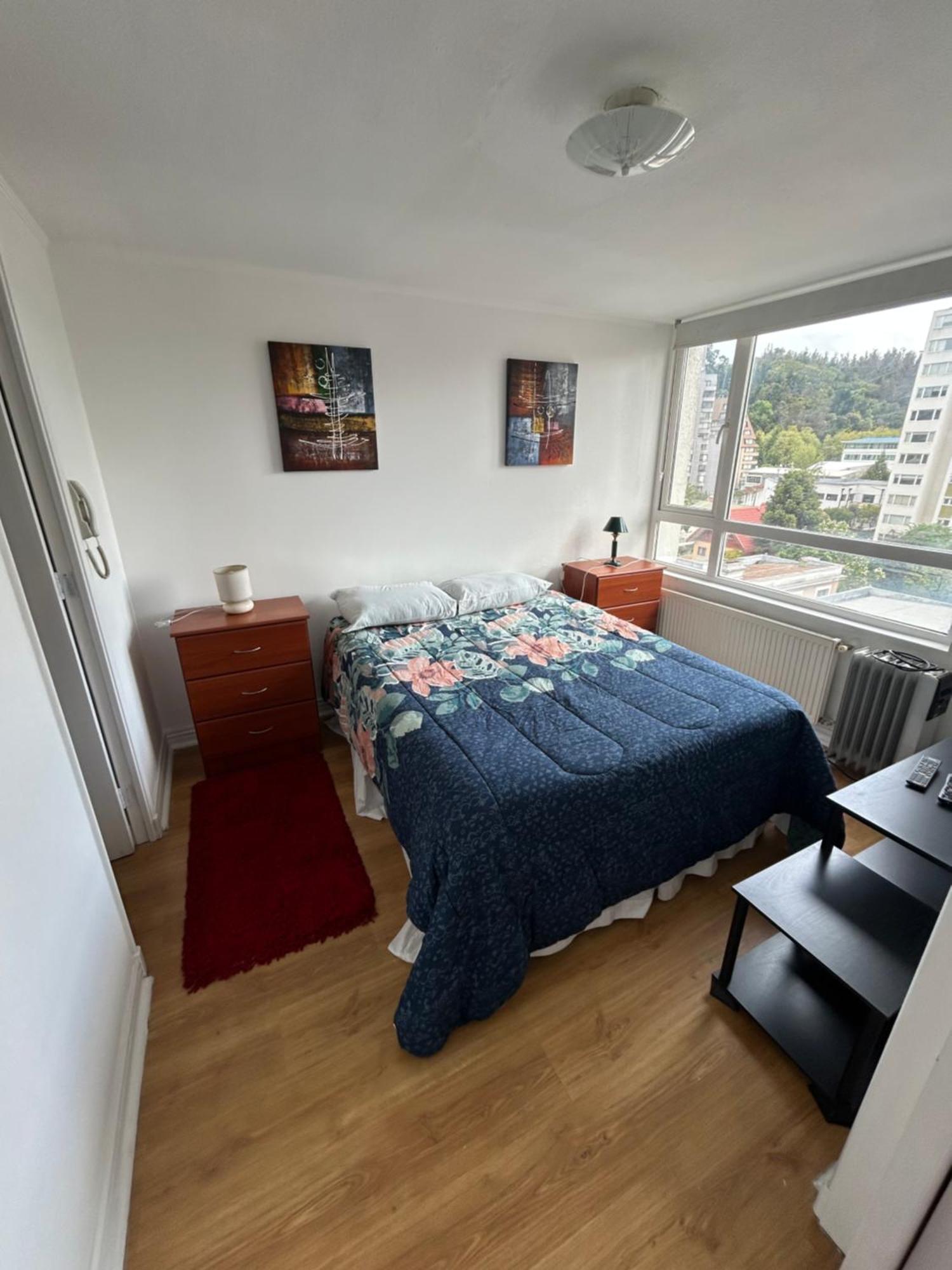 Appartement Mirador Parque à Concepción Extérieur photo