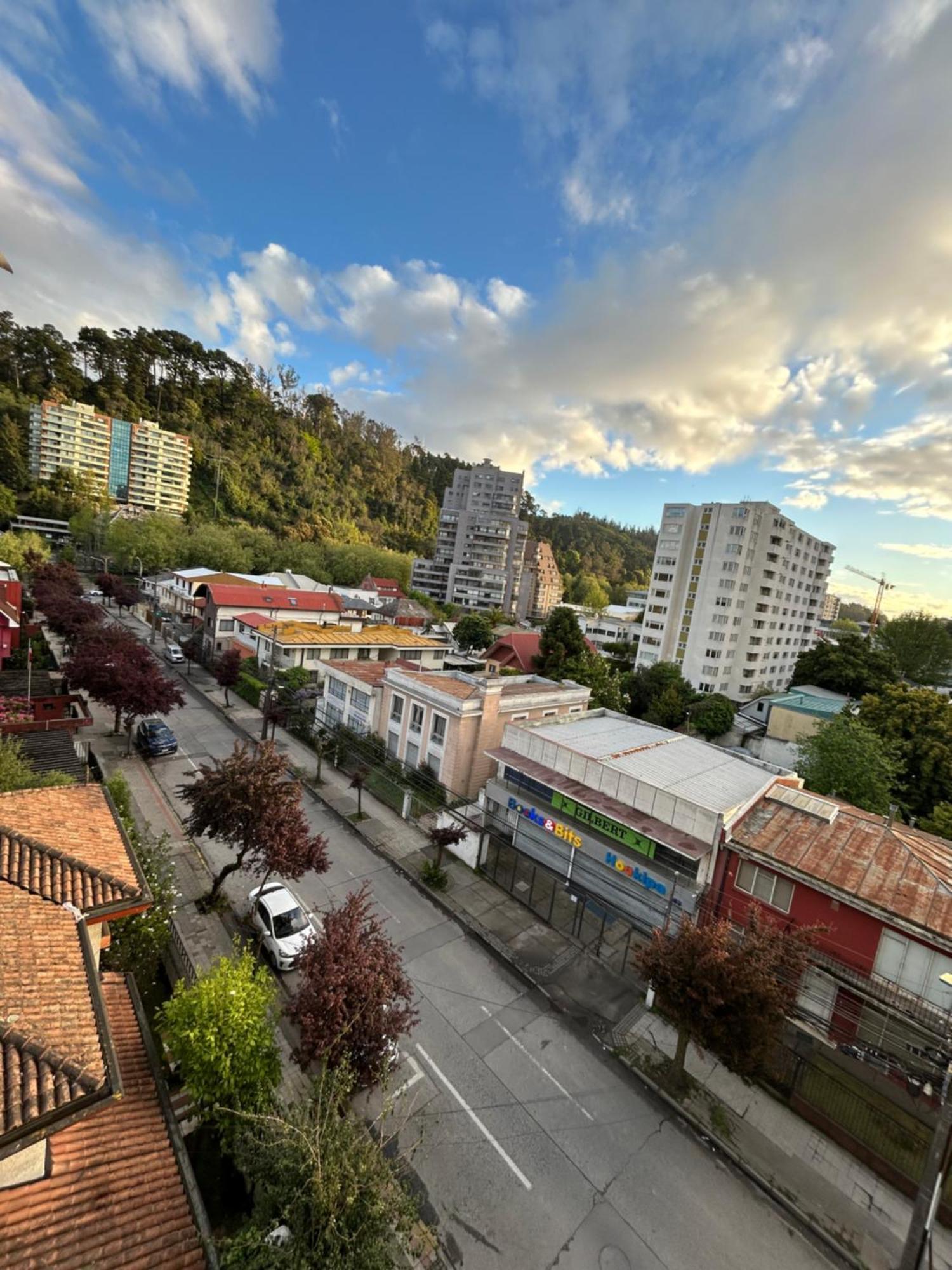 Appartement Mirador Parque à Concepción Extérieur photo