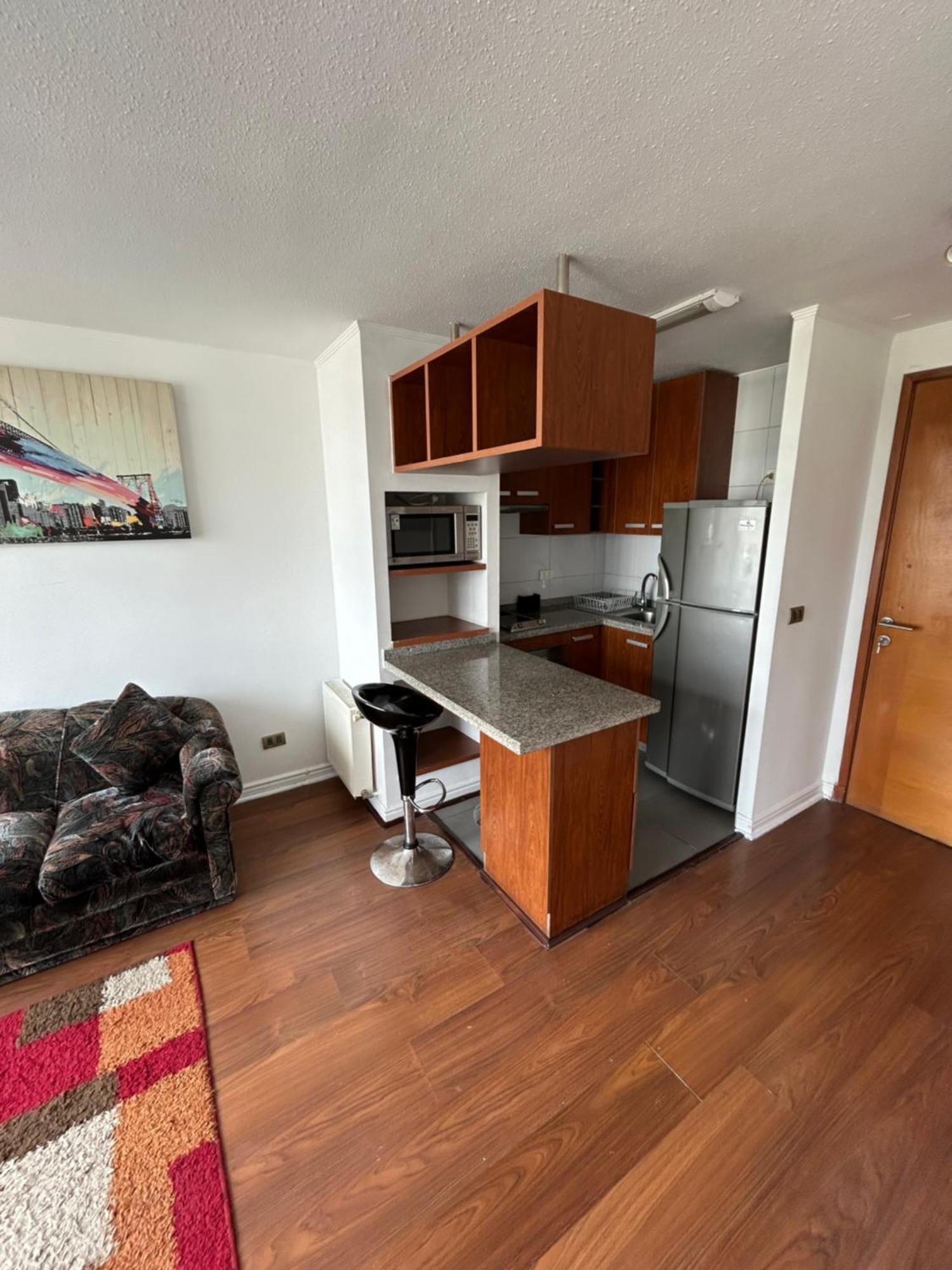 Appartement Mirador Parque à Concepción Extérieur photo